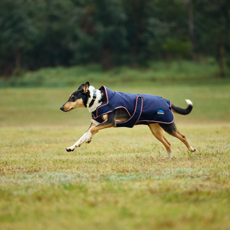 WeatherBeeta ComfiTec Premier Deluxe Waterproof Dog Coat - Navy/Burgundy-2