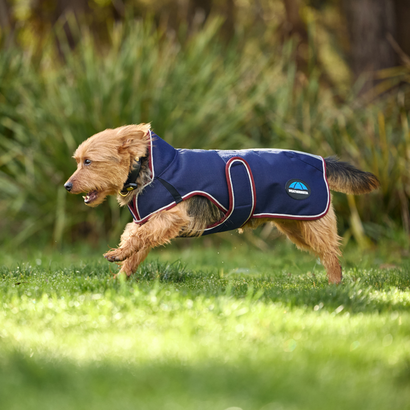 WeatherBeeta ComfiTec Premier Deluxe Waterproof Dog Coat - Navy/Burgundy-4