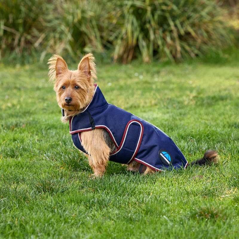 WeatherBeeta ComfiTec Premier Deluxe Waterproof Dog Coat - Navy/Burgundy-3