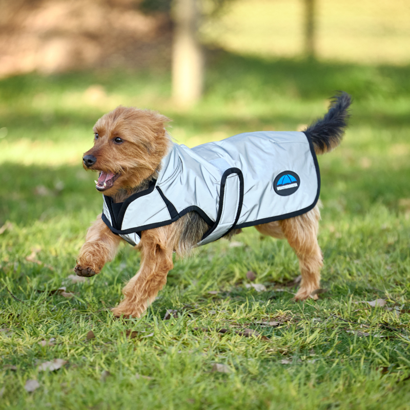 WeatherBeeta ComfiTec Reflective Showerproof Dog Coat - Silver-3