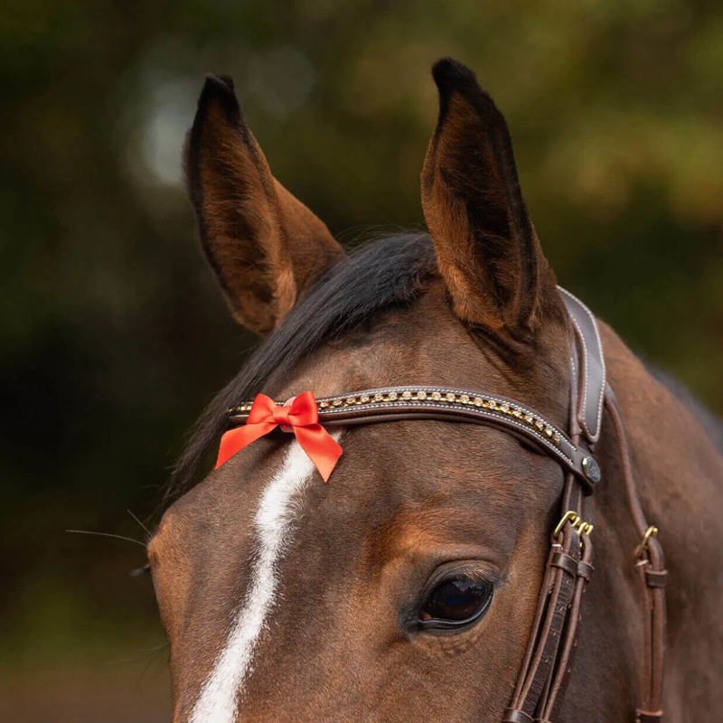 QHP Warning Bridle Bow - Red