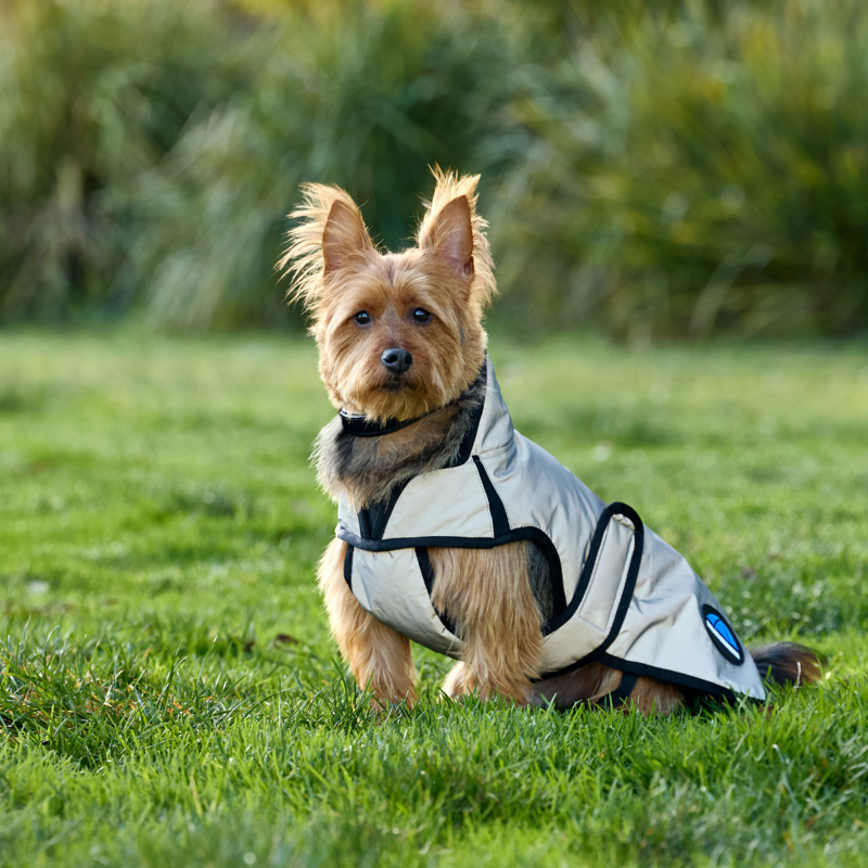 WeatherBeeta ComfiTec Reflective Showerproof Dog Coat - Silver-1