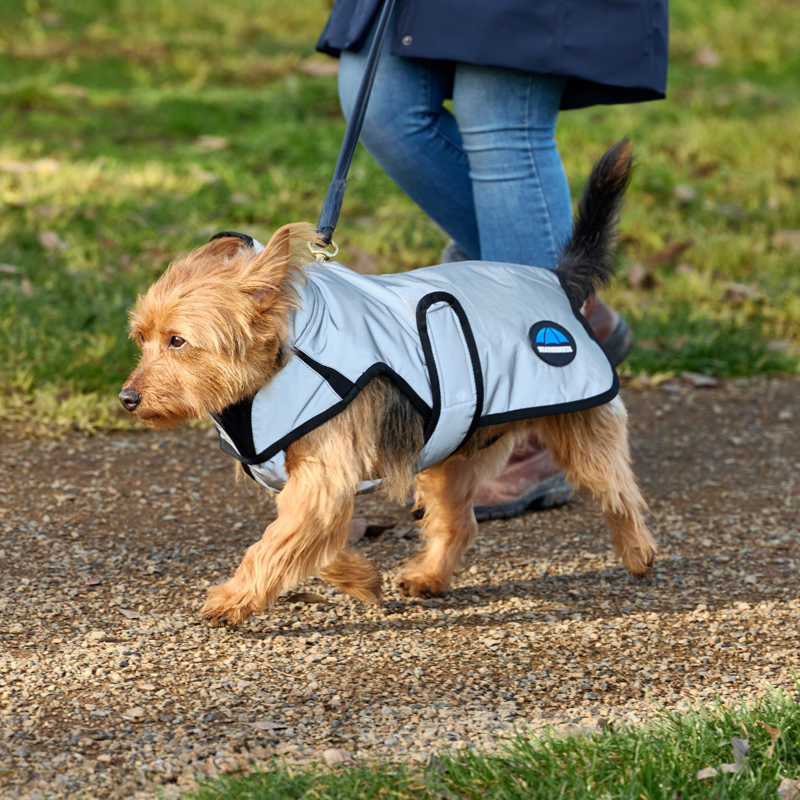WeatherBeeta ComfiTec Reflective Showerproof Dog Coat - Silver-2