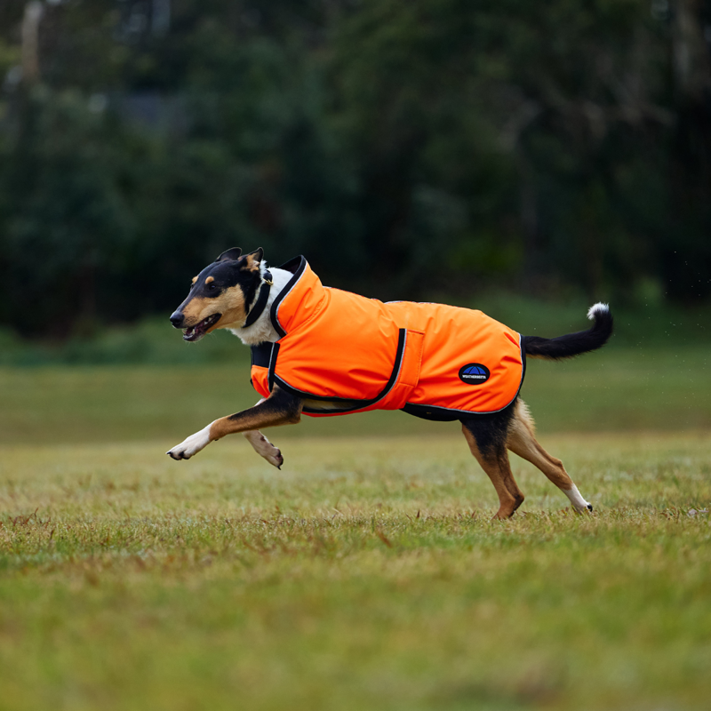 WeatherBeeta ComfiTec Reflective 300D Deluxe Showerproof Dog Coat - Orange-3