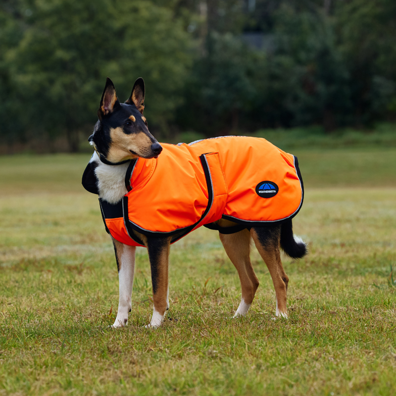 WeatherBeeta ComfiTec Reflective 300D Deluxe Showerproof Dog Coat - Orange-1