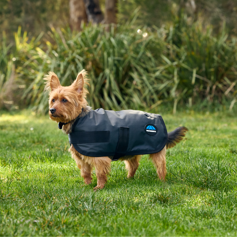 WeatherBeeta ComfiTec Classic Waterproof Dog Coat - Charcoal-6
