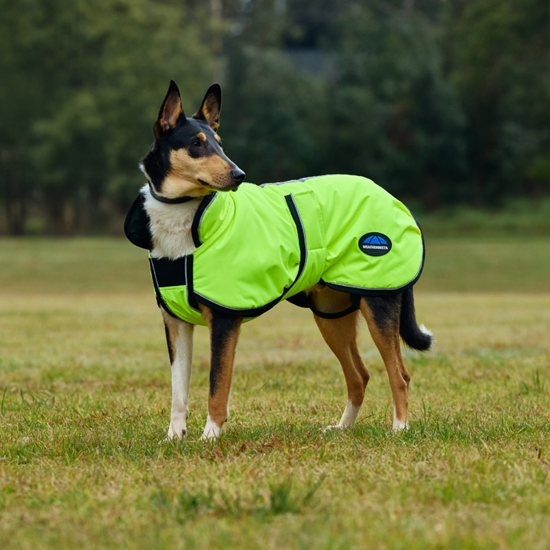 WeatherBeeta ComfiTec Reflective 300D Deluxe Showerproof Dog Coat - Yellow-1
