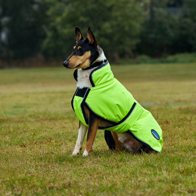 WeatherBeeta ComfiTec Reflective 300D Deluxe Showerproof Dog Coat - Yellow-2