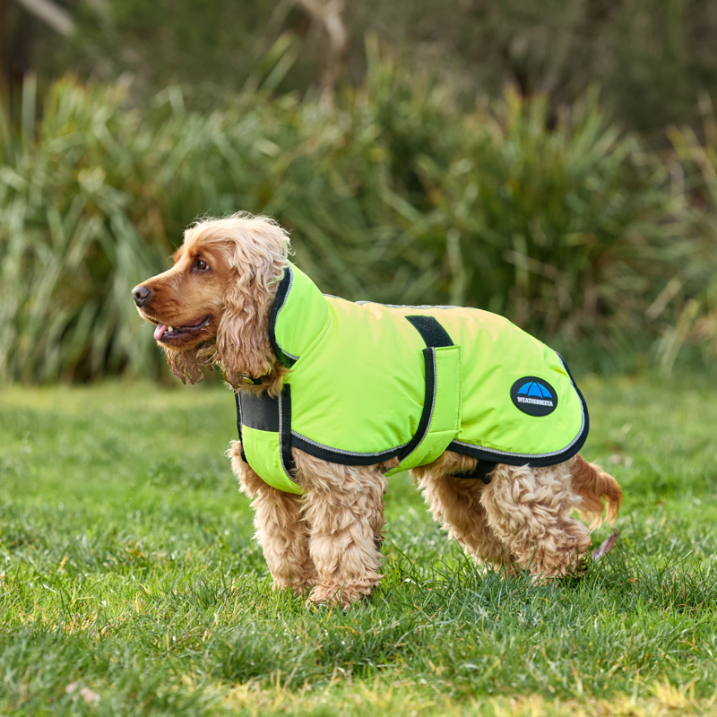 WeatherBeeta ComfiTec Reflective 300D Deluxe Showerproof Dog Coat - Yellow-3