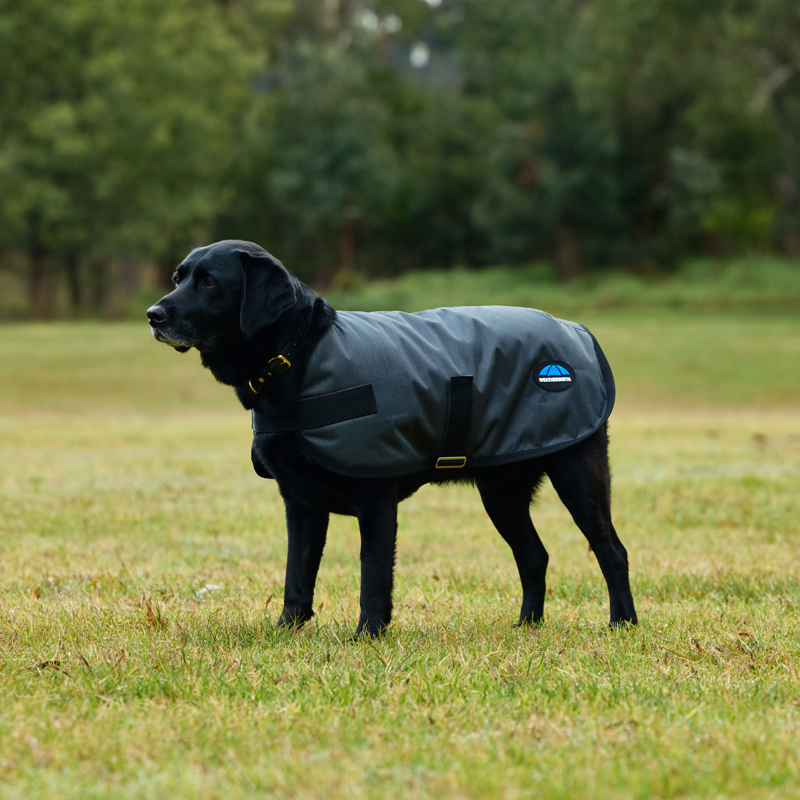 WeatherBeeta ComfiTec Classic Waterproof Dog Coat - Charcoal-1
