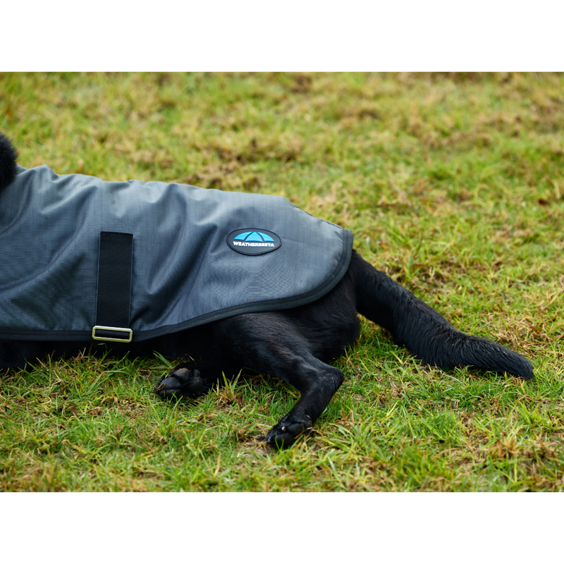 WeatherBeeta ComfiTec Classic Waterproof Dog Coat - Charcoal-5