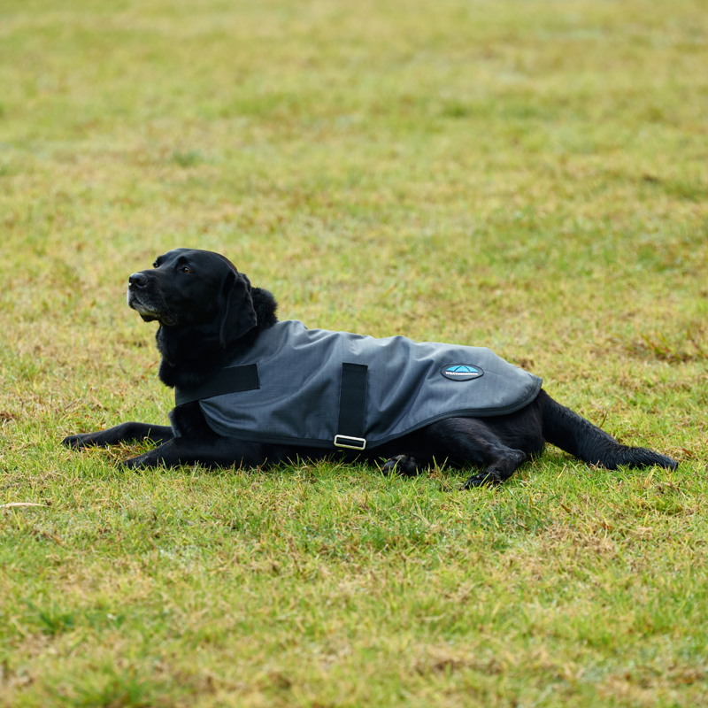 WeatherBeeta ComfiTec Classic Waterproof Dog Coat - Charcoal-4