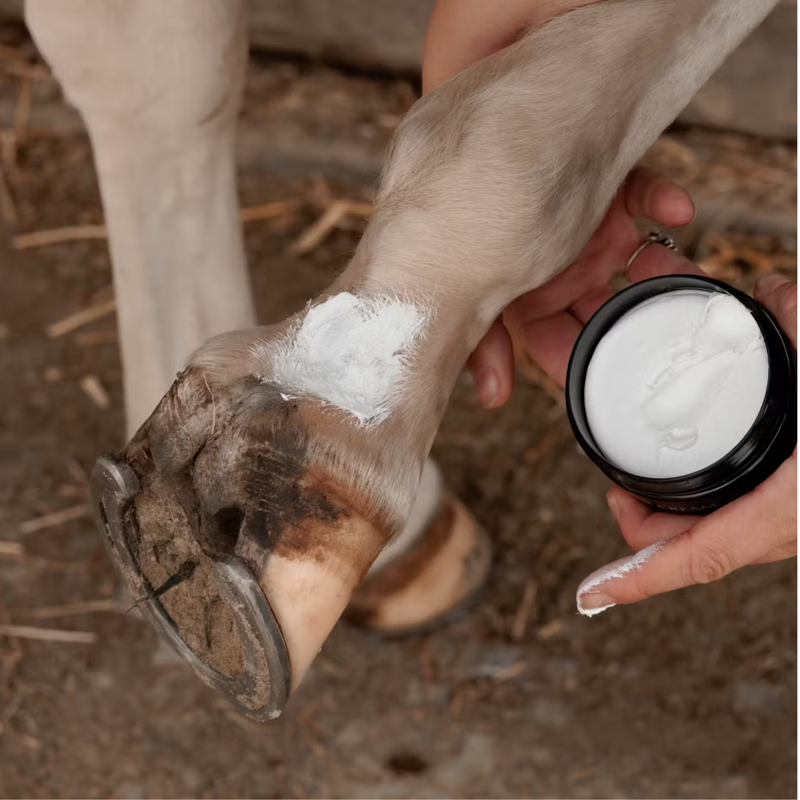 Grooming Deluxe Mud Fever Creme Plus - 250ml-1