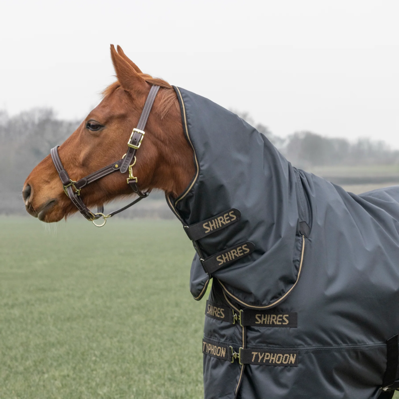 Shires Typhoon 50 Combo Turnout Rug - Black-2
