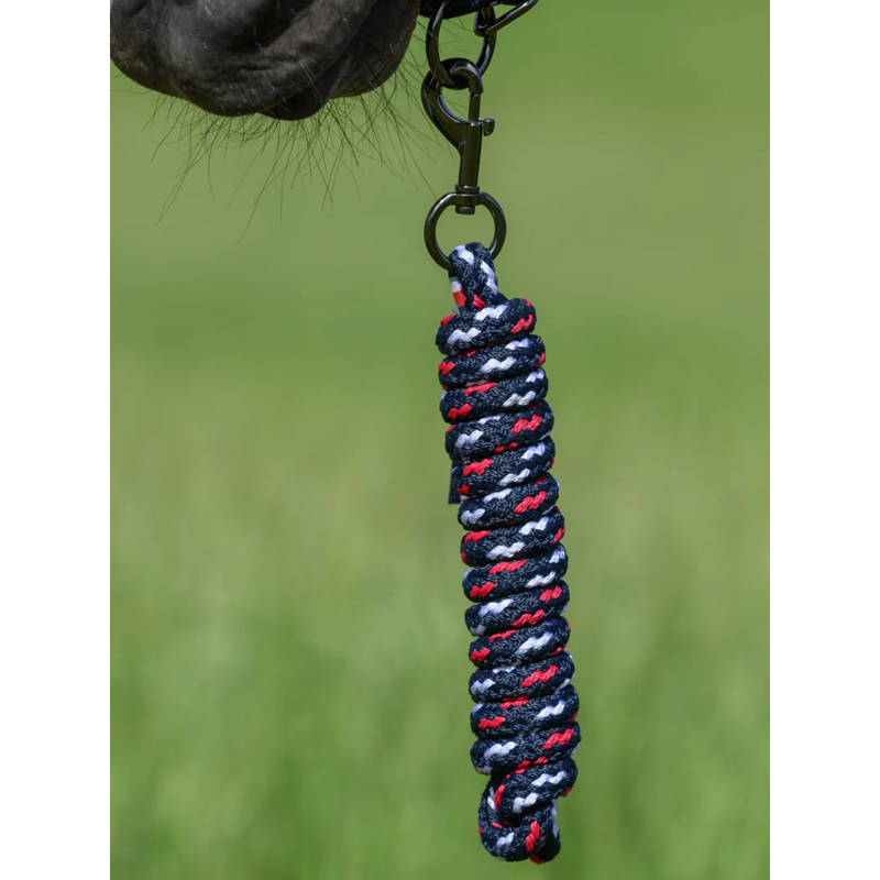 Tommy Hilfiger Yale Set Headcollar And Rope - Desert Sky-2