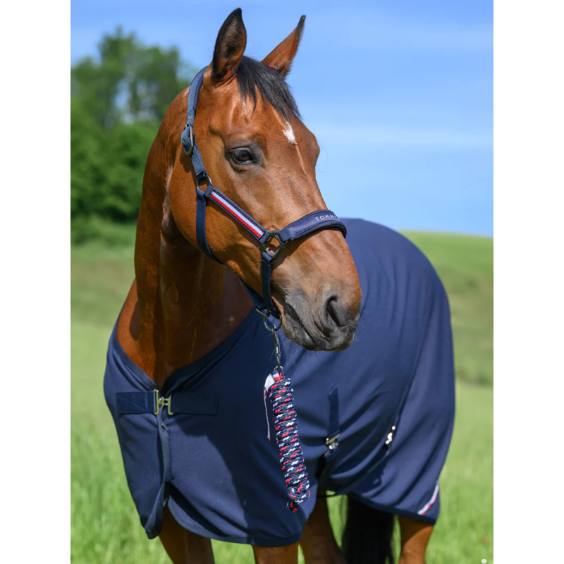 Tommy Hilfiger Yale Set Headcollar And Rope - Desert Sky-1