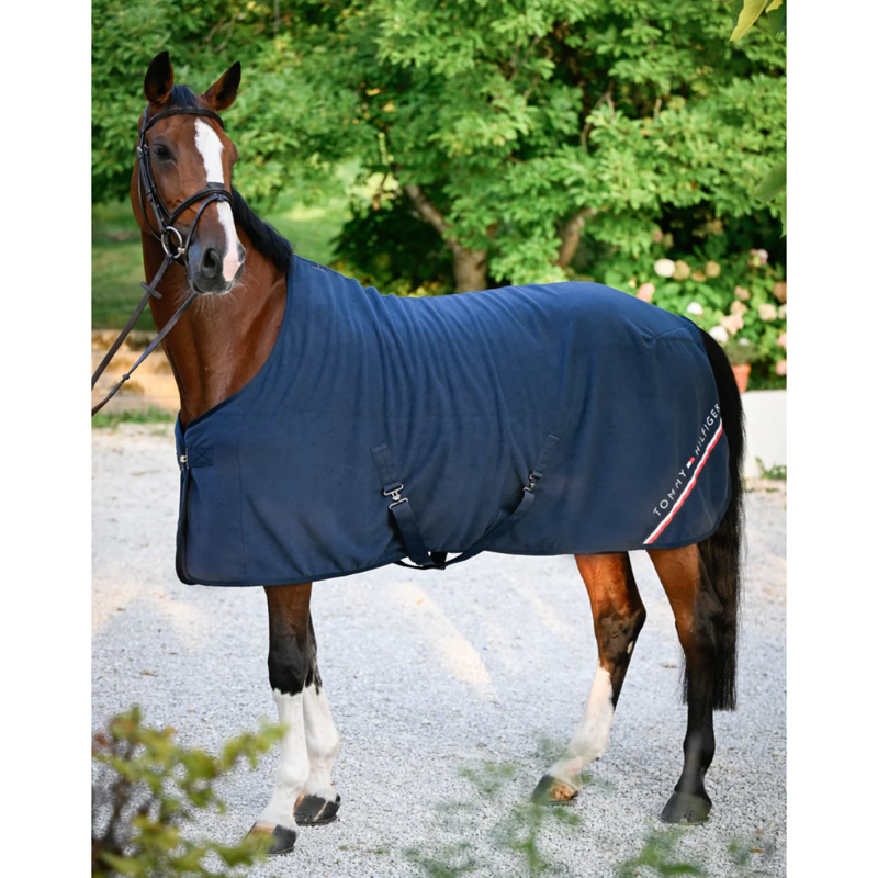 Tommy Hilfiger Stanford Fleece Rug - Desert Sky-3