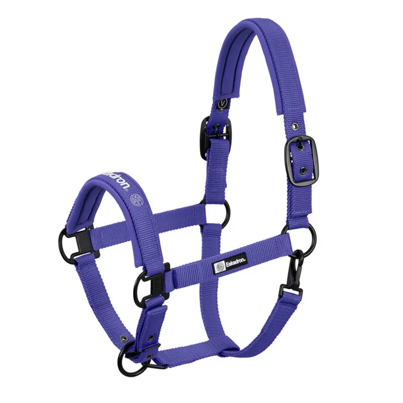 Eskadron Double Pin Headcollar Dynamic SS24 - Purple