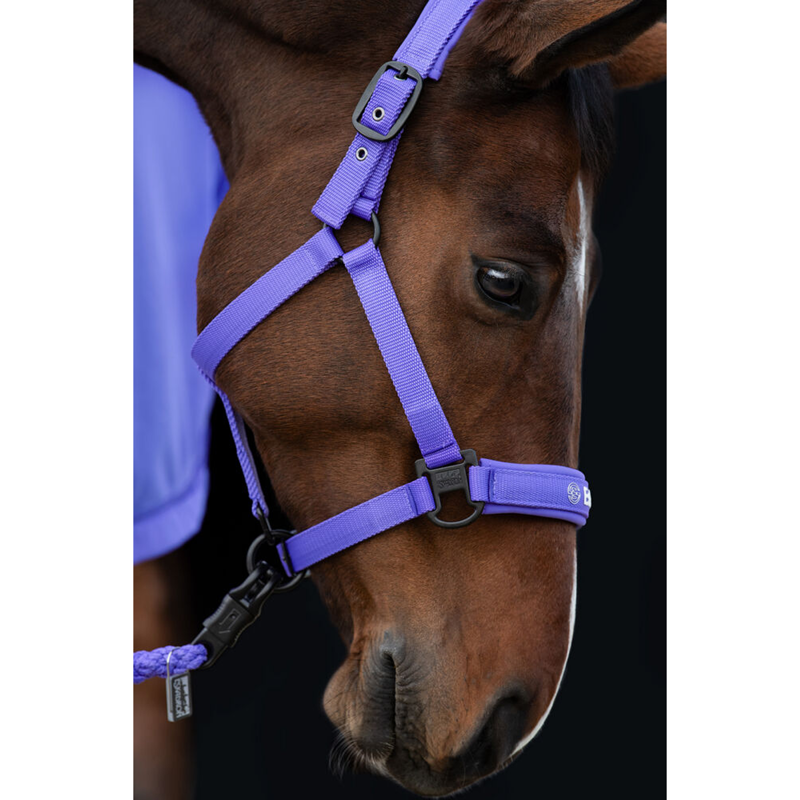Eskadron Double Pin Headcollar Dynamic SS24 - Purple-1