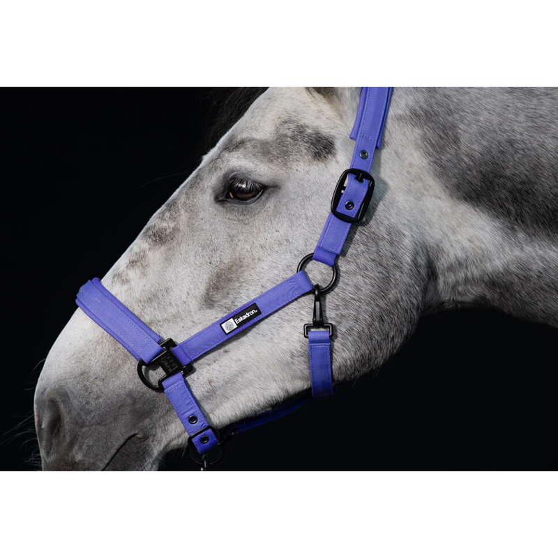 Eskadron Sparkle Double-Pin Headcollar Dynamic SS24 - Purple-1