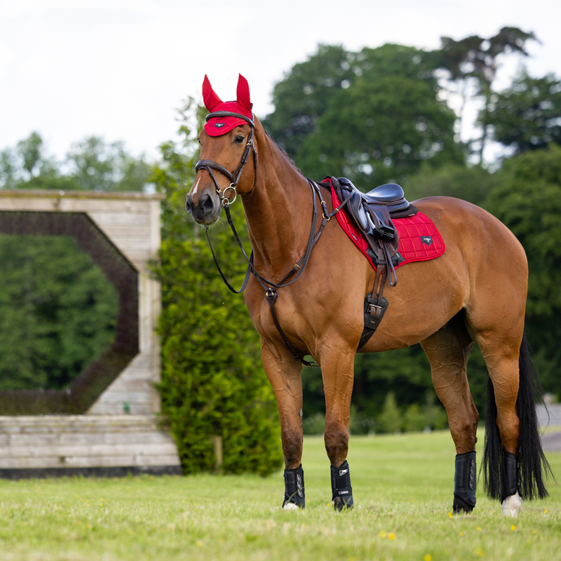 LeMieux Loire Fly Hood - Chilli-2