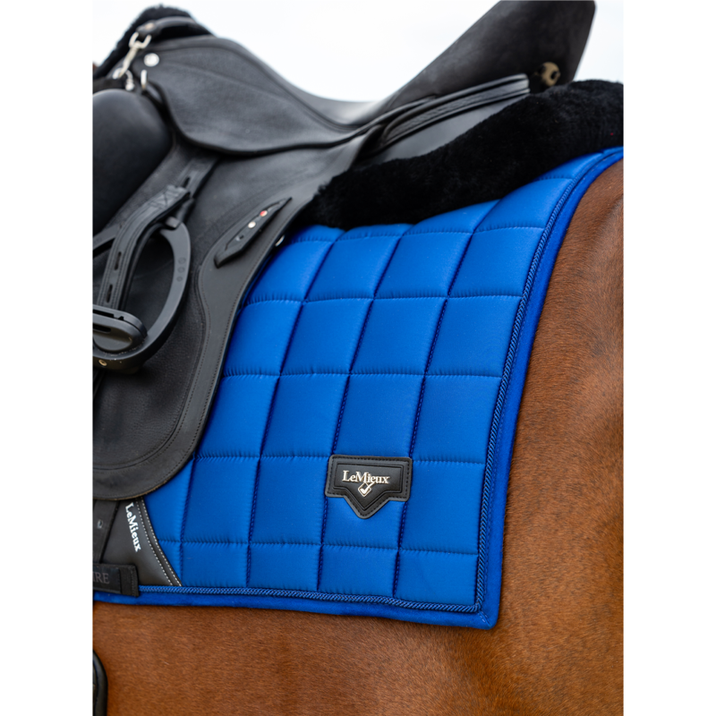 LeMieux Loire Dressage Square - Benetton Blue-1