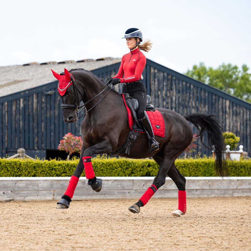 LeMieux Loire Dressage Square - Chilli-5