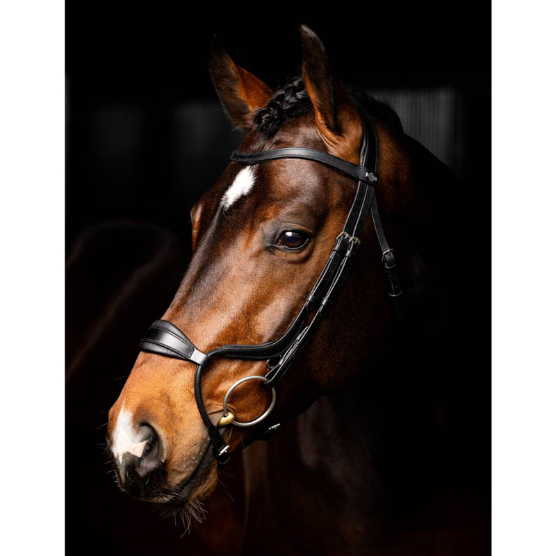 LeMieux Arika Adjustable Anatomic Noseband Bridle - Black/Silver-1