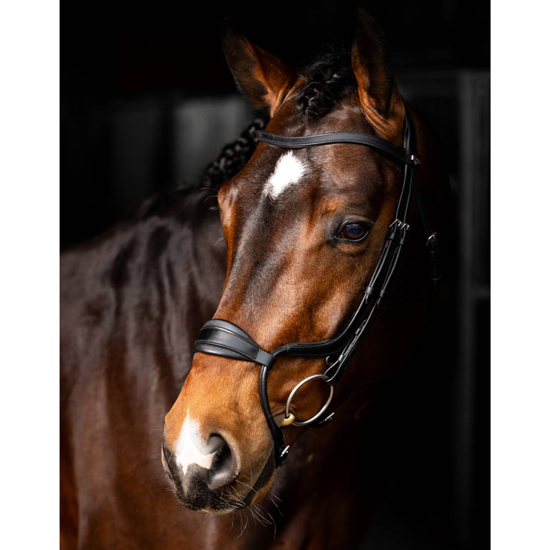 LeMieux Arika Adjustable Anatomic Noseband Bridle - Black/Silver-2