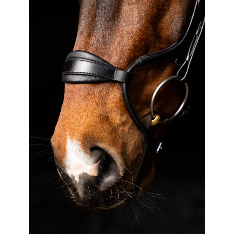 LeMieux Arika Adjustable Anatomic Noseband Bridle - Black/Silver-3