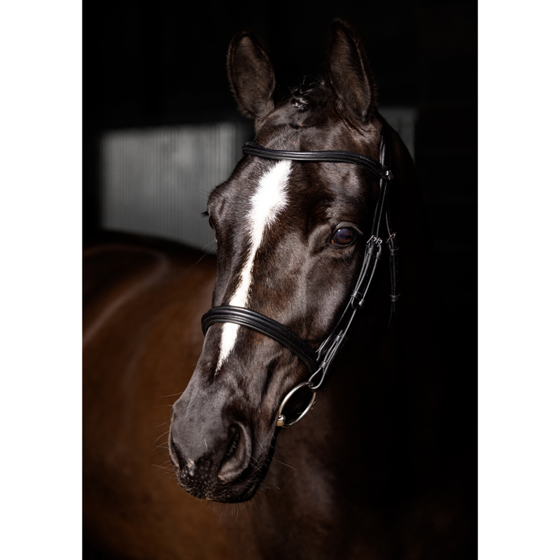 LeMieux Arika Cavesson Bridle - Black/Silver-1