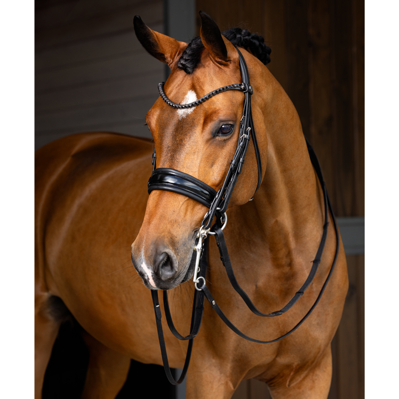 LeMieux Kudos Double Bridle - Black-2