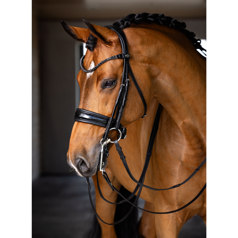 LeMieux Kudos Double Bridle - Black-1