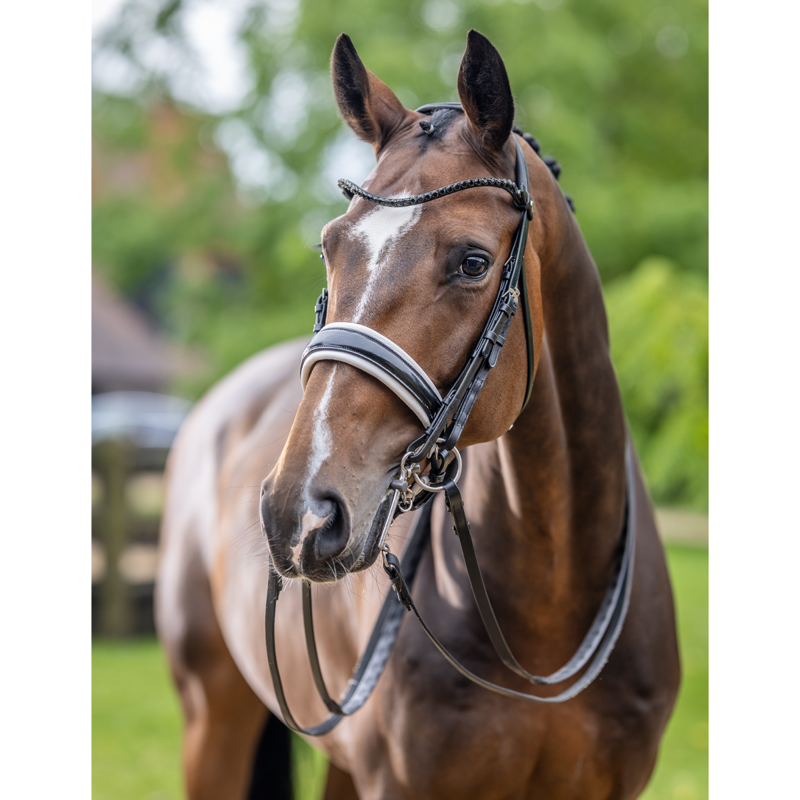 LeMieux Kudos Double Bridle - Black/White-1