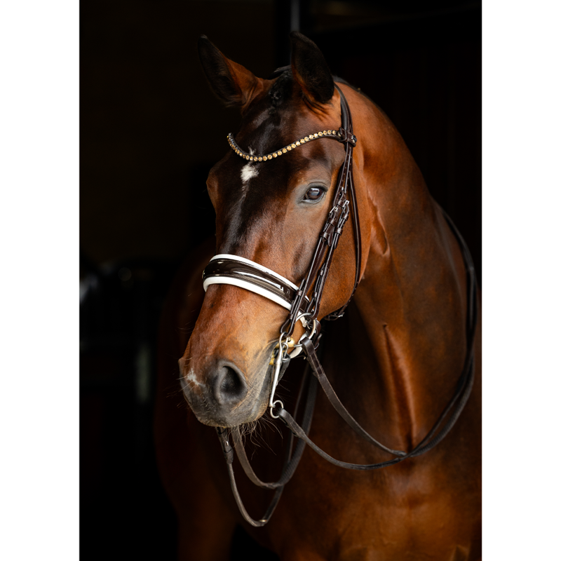 LeMieux Kudos Double Bridle - Brown/White-1
