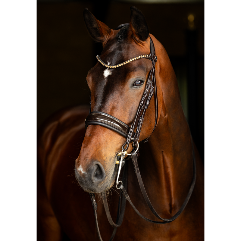 LeMieux Kudos Double Bridle - Brown-1
