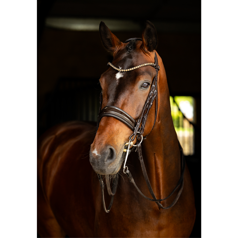 LeMieux Kudos Double Bridle - Brown-2
