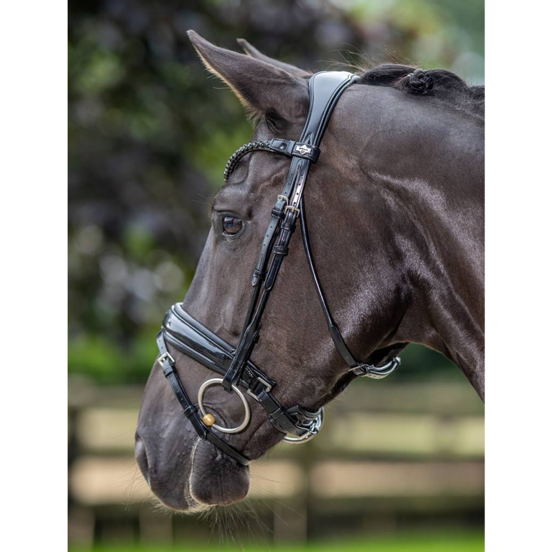 LeMieux Kudos Patent Dressage Bridle - Black-3