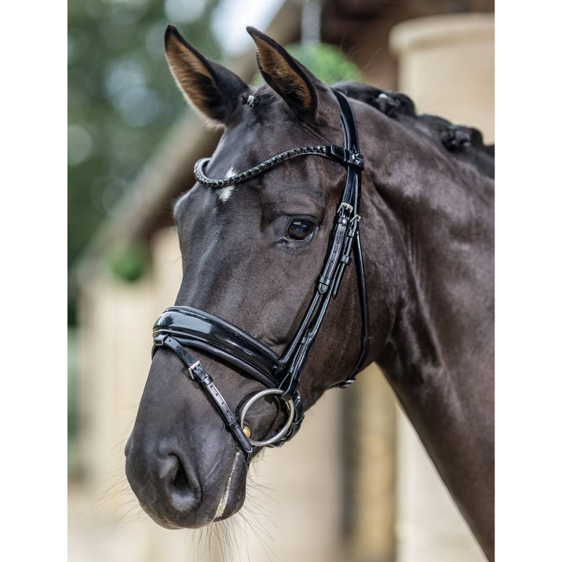 LeMieux Kudos Patent Dressage Bridle - Black-4
