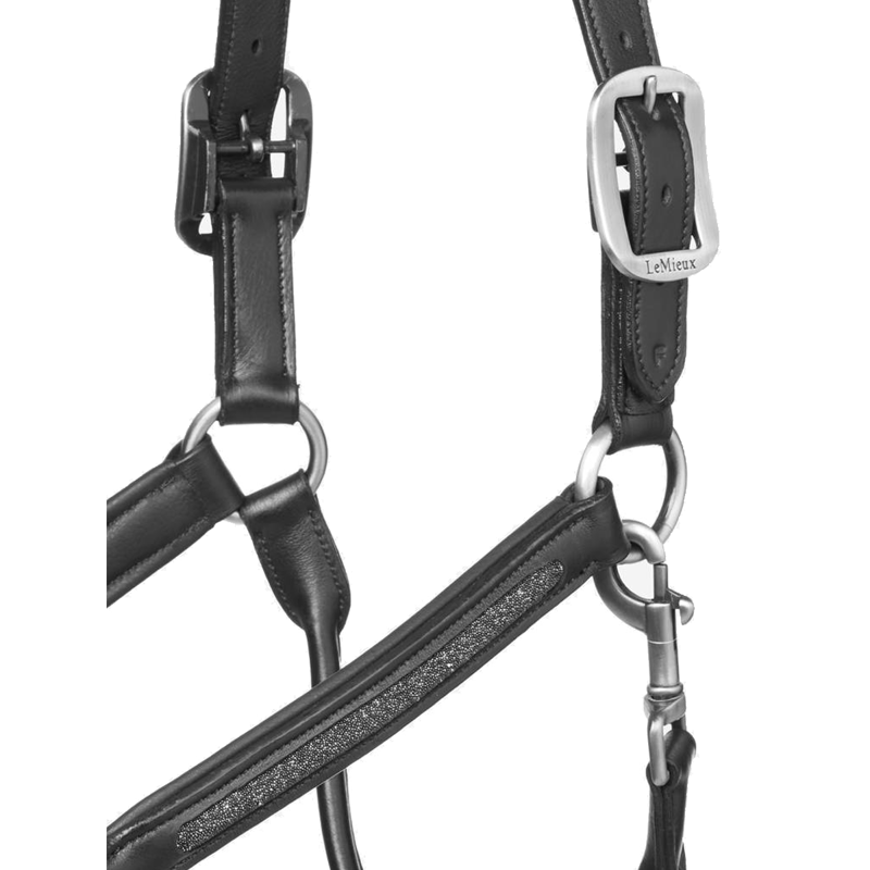 LeMieux Leather Crystal Headcollar - Black-2