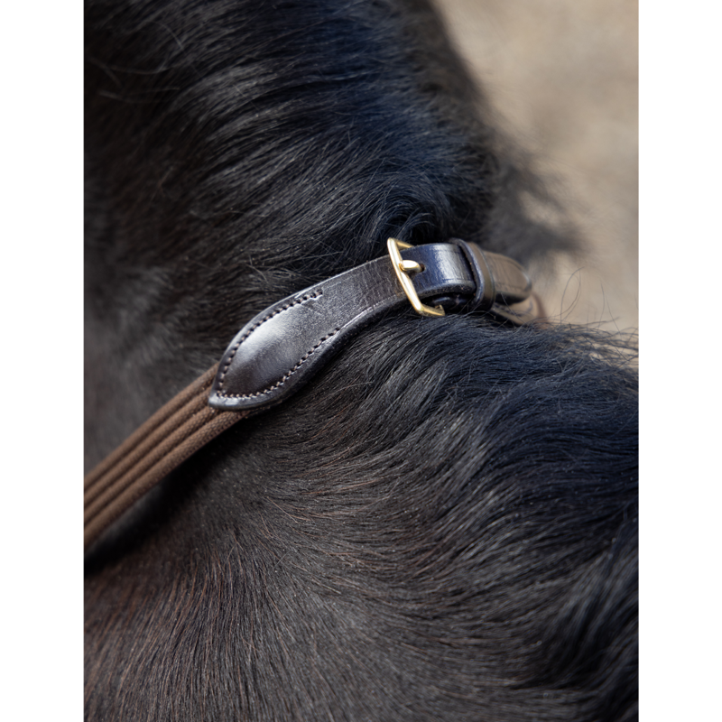 LeMieux Webbed Continental Reins Full - Brown/Brass-2