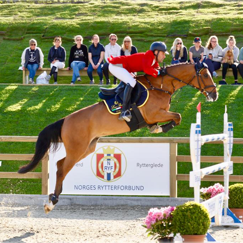 LoveHorses Full Contact Body Bandage - Black-5