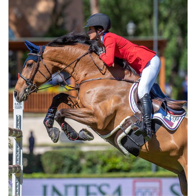 LoveHorses Deluxe Body Bandage - Black-4