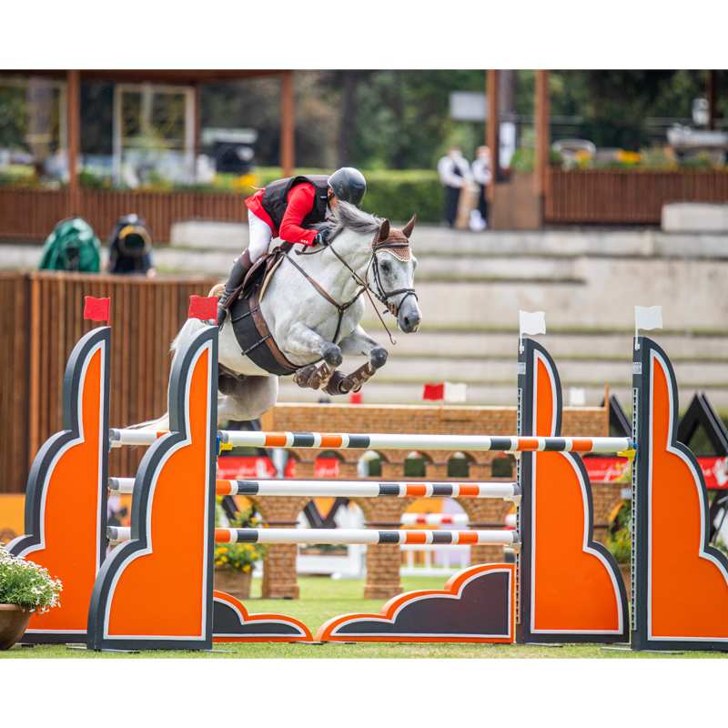 LoveHorses Deluxe Body Bandage - Brown-5