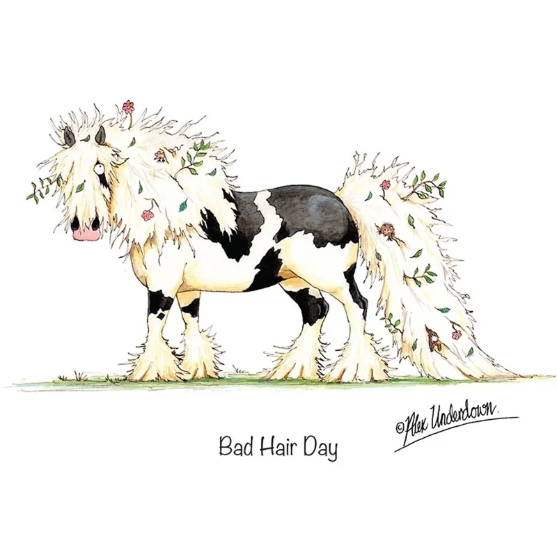 Countryside Greetings Bad Hair Day Card