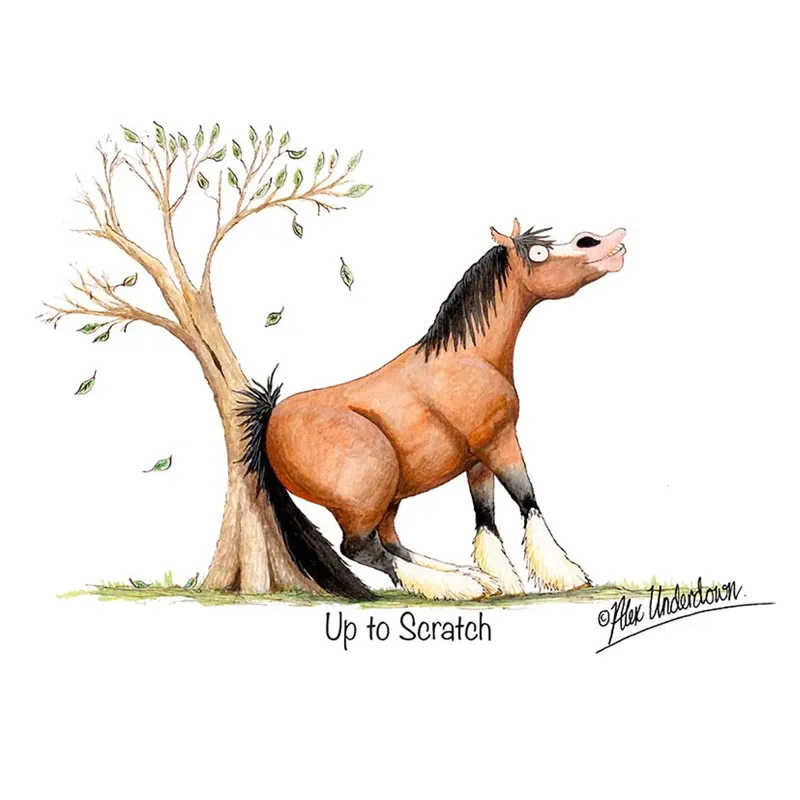 Countryside Greetings Up To Scratch Card