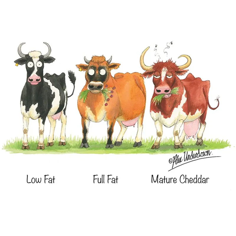 Countryside Greetings Dairy Cattle Card