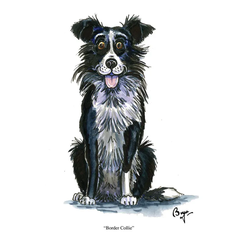 Countryside Greetings Collie Card
