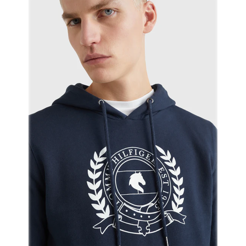 Tommy Hilfiger Men's Hoody - Desert Sky-2