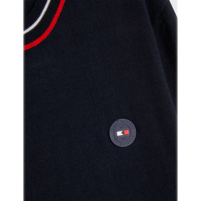 Tommy Hilfiger Men's Colorblock Summer Knit Sweater - Desert Sky-2